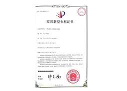 电镀结合砂轮修整装置